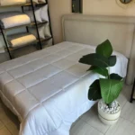 Couette blanche 260x240 Tunisie